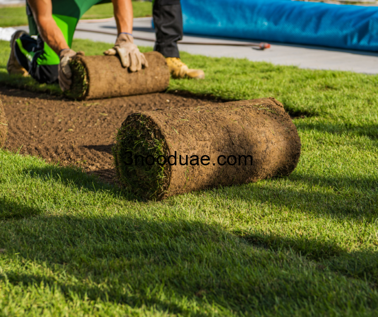 شركة تركيب عشب طبيعي في ابوظبي 0581515643
