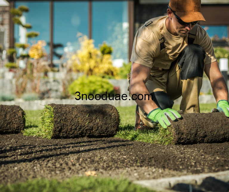 شركة تركيب عشب طبيعي في ام القيوين 0581515643