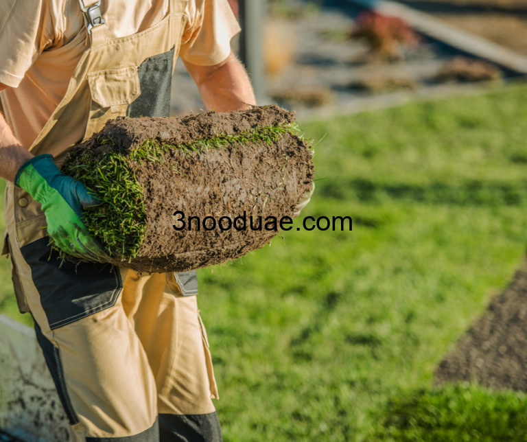 شركة تركيب عشب طبيعي في عجمان 0581515643