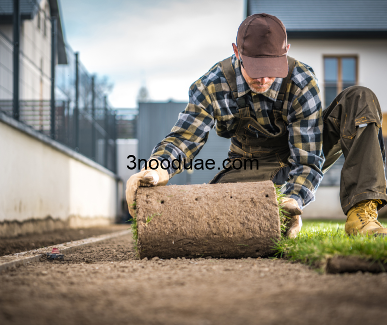 شركة تركيب عشب طبيعي