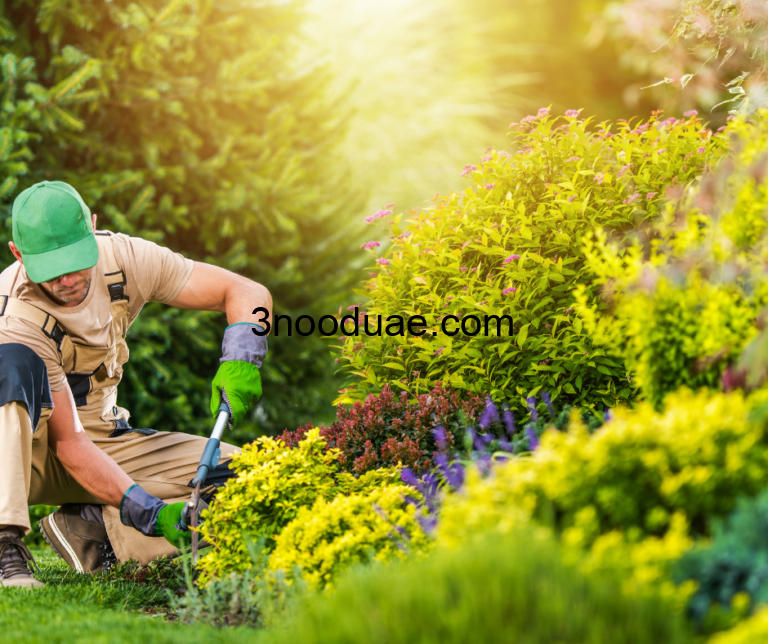شركة لاندسكيب في دبي 0581515643